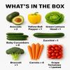 Salad Box 5 view 2