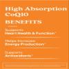 Absorption CoQ10, 400MG Non-GMO, Gluten Free, Soy Free, Vegan 60 Veggie Caps view 2