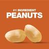 KIND Protein Bars, Gluten Free Snack Bars, Crunchy Peanut Butter, High Fibre, Healthy Snack, Source of Protein, No Artificial Colours, Flavours or Preservatives, Multipack 24 x 50g view 4