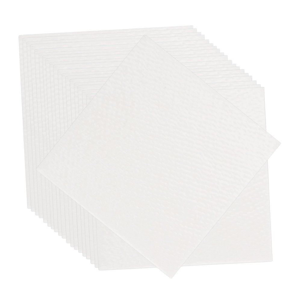 GALPADA 100pcs Food Grade Plant Fiber Moisture Absorber Sheets for Food Storage Desiccant Drying Sheets for Biscuits Snack Jars Versatile Humidity Control for Closets Cars and Study Rooms