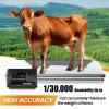 XUXIAO Livestock Scale Kit, Livestock Scale High Precision Indicator, Floor Scale, Junction Box Animal Scale Kit, for Animal Cattle Hogs Pigs Sheep view 3