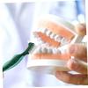 ELAYARD 6pcs Denture Cleaning Brush Partial Denture Brush Dual-Sided Nylon view 4