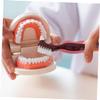 SOPOTUTU 6pcs Dual Sided Denture Toothbrush for Elderly Hard Bristle False Teeth Brush with Non Slip Handle Compact Portable Design for Daily Denture Cleaning and Gum Massage view 4
