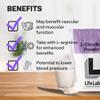 L-Citrulline Powder 500g - L Citrulline Purity 99.87% Amino Acid Supplement for Nitric Oxide and Performance Support Vegan & Vegetarian L-Citrulline Powder by LifeLab Supplements. view 3