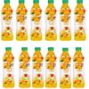 Fruit Drink 500ml Mixed Flavours: Natural, Mango, Blueberry, Strawberry, Summer Berries & BIG Refreshing & Fruity - Flta (12 x botle, Mango) view 1