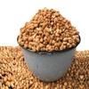 Africa Select Brown Beans 1.5kg | Premium Nigerian Brown Beans for Traditional Cooking view 2