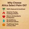Africa Select Olu Olu Palm Oil 20L | Pure & Natural Red Palm Oil | Catering Pack view 3