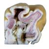 Beef Mask Skin 10KG Collagen Rich Meat for Gelatin, Broths & Healthy Recipes Nutrient Packed & Delicious view 4
