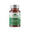 Ayumi Pure Neem Capsules, 60 Caps | Gut Health Supplements for Gut Cleanse | Vegan Neem Capsules to Combat Acne | DetoxCapsules to Aid Digestion & Immunity | Gut Repair for Men & Women | 5000 mg view 1