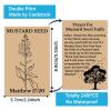 240pcs Mustard Seed Gifts Faith Holy Prayer Cards Christian Religious Gospel Tracts Have a Little Faith Inspirational Pocket Bible Tracts for Evangelism Church Gifts(Mustard Seed view 2