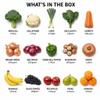Fruit and Veg Box I view 2