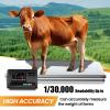 ZXINXIN High Precision Livestock Scale Kit, Scale Load Cell Scale Kit Platform, Load Weighing Indicator, Loadometer Floor Scales, Animal Weighing Scale Kit for Cattle Sheep Pig Goats 5000kg view 3