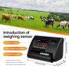 ZXINXIN High Precision Livestock Scale Kit, Scale Load Cell Scale Kit Platform, Load Weighing Indicator, Loadometer Floor Scales, Animal Weighing Scale Kit for Cattle Sheep Pig Goats 5000kg view 4