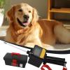Dog Ovulation Detection Test - Etral Cycle Analyzer, Dog Progester Test | 2 Inch Dog Breeder Tests with Magnetic Probe, Ovulatium Detector view 4