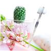 ERINGOGO 2pcs Transparent Double Sided Denture Brush Soft Bristle False Teeth Cleaner with Non Slip Handle for Plaque and Stain Removal Oral Hygiene Tool for Dentures and Retainers view 3