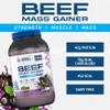 Applied Nutrition Beef Mass Gainer Protein Powder 42g Beef Protein Isolate, High Calorie Weight Gainer Supplement, Lactose Free, Low Sugar (3.13kg 25 Servings) (Blackcurrant Millions) view 2