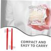 DINHEAROM Dual Headed Dental Toothbrush with Dualhead Design 8pcs Portable Size with Nylon Bristles for Effective Denture Care for Cleaning Interdental Spaces and False Teeth view 3