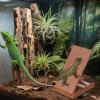 Tortoise Ramp - 3.66x7.40x4.13x5.11 Inches Reptile Tank Accessories for Gecko, Adjustable Height with Climbing Decor, Terrarium Enclosure for Snakes, Chameleons, Frogs and Newts view 4