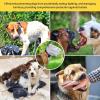 Dog Face Cover Guard - Portable Dog Head Safety Net with Mouth Zipper - Protector Hood Net Pet Supplies for Rocks Climbing Thorns Grass Beach Outdoor Adventures Training Picnic view 4