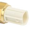 CFTGIW Brass Coolant Temp Temperature Sensor 21176?0009 for KFX450R KSF450B KSF450B 2008?2014 Is 21176?0 Temperature SensorWater Temp SensorCoolant Sensor21176?0009Engine view 3