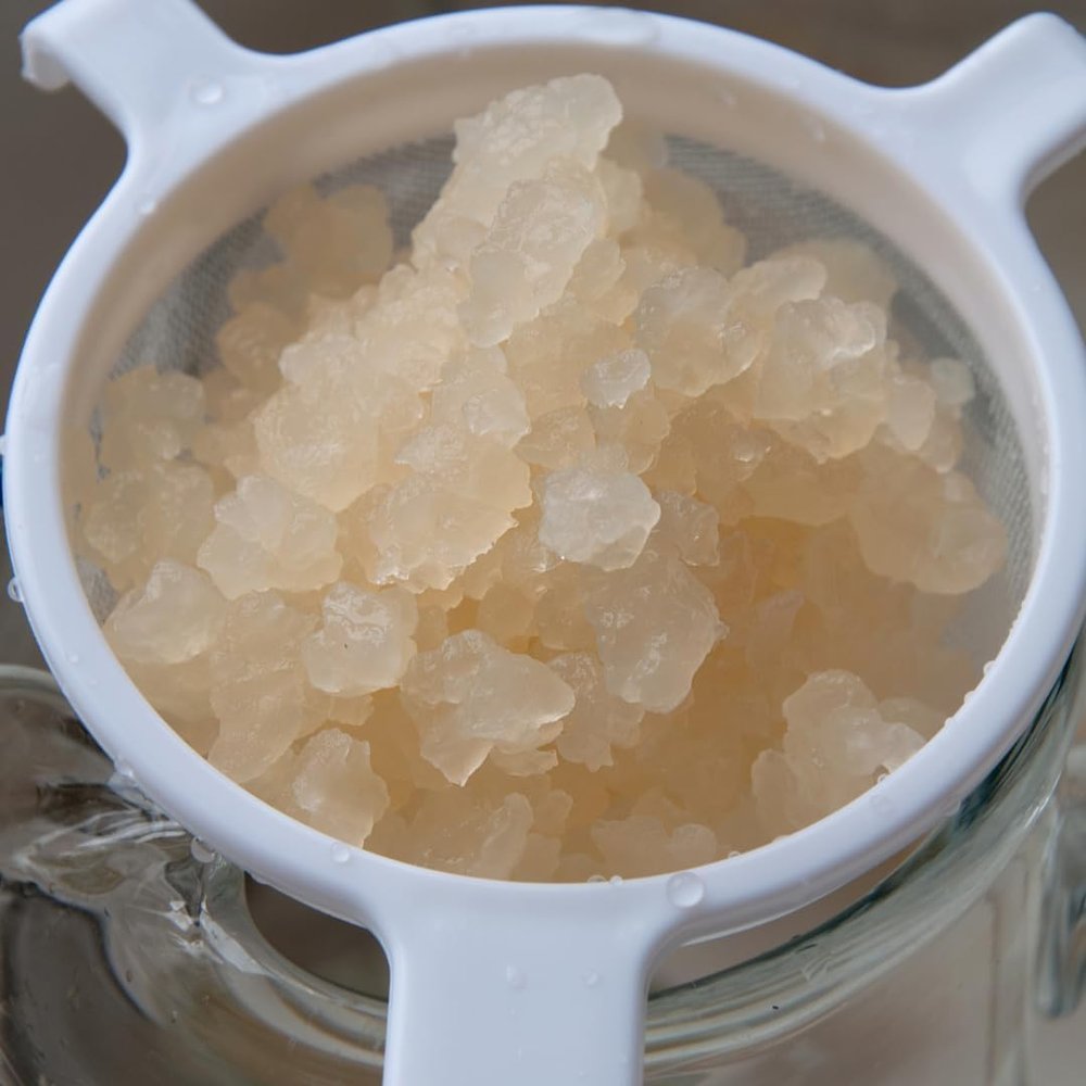 Highly Active Water Kefir Grains, Organic, 40g, Probiotic, Vegan