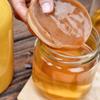 GIANT Organic SCOBY, make upto 5 Litres of Fizzy Kombucha at Home. Instructions included. view 1