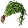 Swathi Fresh Spring Onion 2 Bunches Crisp Green Onions with Tender White Bulbs Perfect for Soups, Salads, Stir-Fries, and Garnishes Approx 400-500g view 2