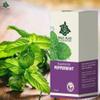 Bali Alus, Essential Oil, 10ml, Peppermint (Pack of 1) view 4