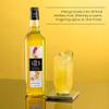 1883 - Maison Routin Premium Spicy Mango Syrup, Natural Fruit Syrup, Absolute for Cocktails and Mocktails, Iced Teas, Desserts and More, No Preservatives 1L Glass Bottle view 2