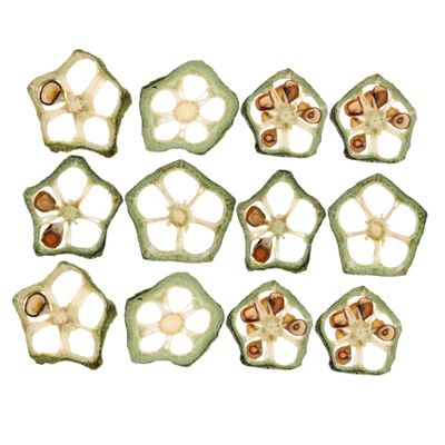 HAMPPLIES 12pcs Dried Pressed Okra Slices DIY Crafts Accessories Handmade Decoration Plant Material in Green for Resin Art and DIY Phone Case Making to Improve Hands-on Ability