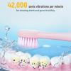 21 Pack Adult Electric Toothbrush Rechargeable Sonic Electric Toothbrush with 4 Brush Heads 6 Modes Timer Function IPX7 Waterproof 3 Colors view 3