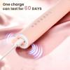 21 Pack Adult Electric Toothbrush Rechargeable Sonic Electric Toothbrush with 4 Brush Heads 6 Modes Timer Function IPX7 Waterproof 3 Colors view 4