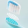 Anti Fall Kids Toothbrush with Suction Base Gentle Bristles for Children 2-12 Years Ergonomic Grip Random Color Suction Base Toothbrush for Brushing view 2