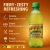 Africa Select Bigga Ginger Beer 600ml Bottles (Pack of 12) | Authentic Jamaican Soda & Carbonated Soft Drink Multipack | Spicy Fizzy Beverage view 4