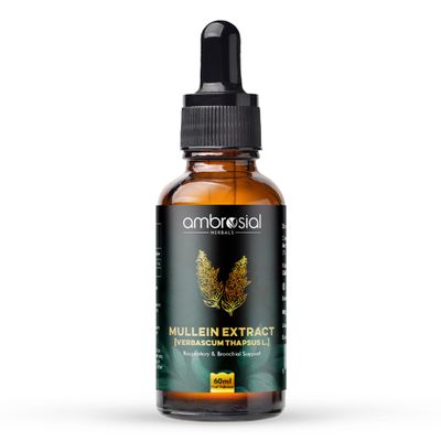 Ambrosial Mullein Drops for Lungs, Mullein Leaf Extract Supplement - for Lung Cleanse and Respiratory Support, 60 ml 200 mg / 2 ml - 30 Servings, Vegan, GMP-Certified