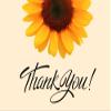 Benerry Chocolate Gift Box Hamper - 9 Treats Thank You Gift - Assorted Sweet Box of Chocolates view 2