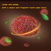 Sweet and Sour Preserved Plums,Bayberries,Candied Fruits,Natural and Healthy Fruit Snacks,Leisure Food,Vegan,Dish and Milk tea Ingredients,Delicious Chinese snack gifts (Bayberry,2bags) view 4