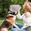 Dogs Net Mesh Hood,Dog Mesh Safety Protector | Lightweight Breathable Pet Guard with Mouth Zipper Allows Panting Drinking Prevent Chewing Licking for Bathing Swimming Shower view 2