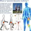 LSRFXF Walking Aids Bionic Body Power Walking Aids, Leg Rehabilitation Training Assisted Lower Limb Mobility Walking Aid, Bionic Exoskeleton Legs for Elderly People, Both Legs view 2