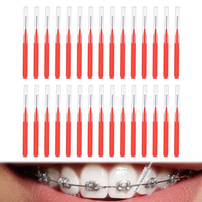 30PCS Red Dental Brushes Red Interdental Brushes R ed Brushes Floss Brus hes R ed Interdental Brush ES Interdental Floss Picks for Between Teeth Toothbrush and Oral Gums