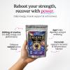 Innooova Renewa Creatine Gummies 1000mg. Creatine Monohydrate Gummies for Muscle Growth, Strength & Energy and Gut Health, Supplement for Men & Women x 10 Natural Lemon Flavour Trial Pack view 2