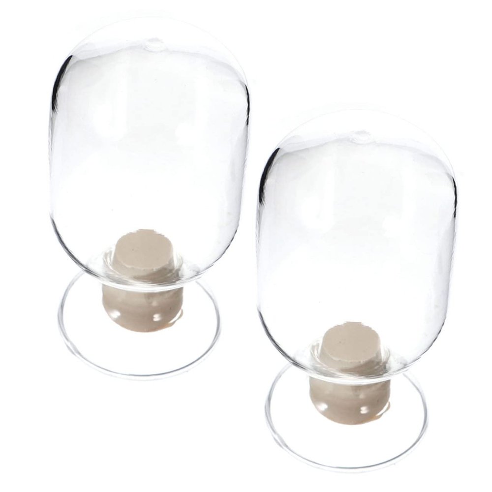 TOYANDONA Glass Match Jar 2pcs 125ml Glass Storage Bottle Display