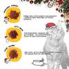 Dogs'n Tiger Guido Maria Kretschmer 2025 Cat Advent Calendar, Cat Advent Calendar Natural and High Quality Snacks with 85% Meat Behind Every Door, Sugar and No Sugar view 4