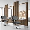 Somerway Hair Salon Chair, Beauty Salon Chair, Salons Chairs for Hairdressing, Stylist Chairs with Heavy Duty Hydraulic Pump, 360 Degrees Rolling Swivel Suitable for Hair Salons (Black2) view 3