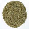 Green Millet (Bajri) 1kg | Premium Quality | High in Protein, Fiber & Minerals | Cleaned & Hygienically Packed | Ideal for Rotis, Khichdi & Healthy Recipes view 3