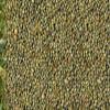 Green Millet (Bajri) 1kg | Premium Quality | High in Protein, Fiber & Minerals | Cleaned & Hygienically Packed | Ideal for Rotis, Khichdi & Healthy Recipes view 4
