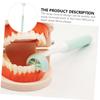 Healvian Oral Care Toothbrush Adult 3-Sided Cleaning Brush for Sensitive Teeth with Wrap-Around Design Comfortable to Hold Portable Oral Hygiene view 3