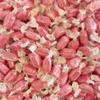 250g Red Cotton Bag of Strawberry Sherbets Sweets view 3