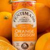Fentimans Sparkling Orange Blossom - Botanically Brewed Soft Drink - Exquisitely Crafted & Refreshing Soft Drinks - Gluten-Free and Vegan Friendly Soft Drinks - 12 x 250ml Cans view 3