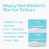 Probio7 Happy Gut - Probiotic Bacteria Yogurt Starter Culture Sachets, 3 Strains of Gut Friendly Live Bacteria, Lactobacillus Rhamnosus - Easy to Use, Gluten Free, Pack of 4 (1 Month Supply) view 4